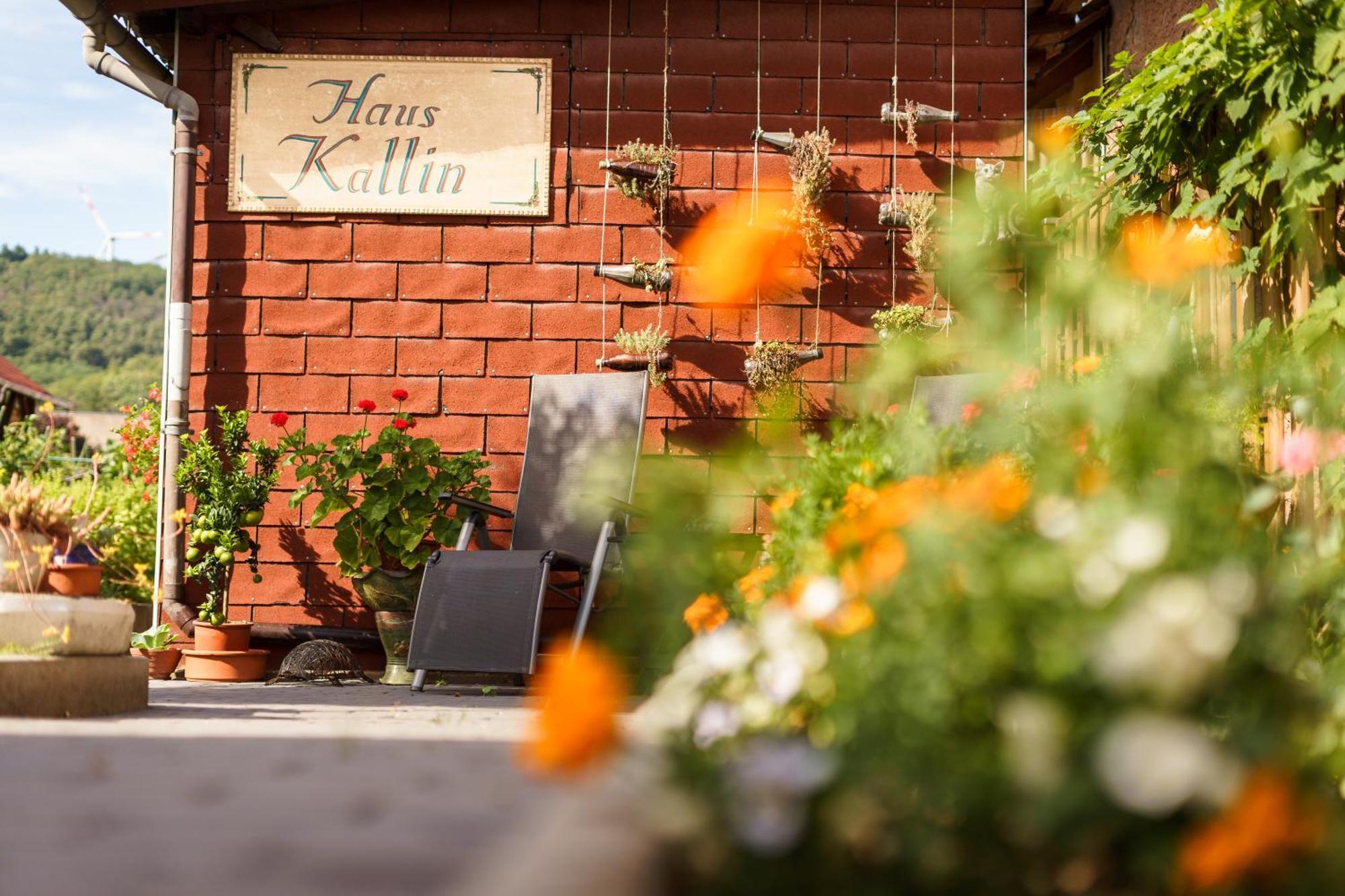 Haus Kallin Idar-Oberstein Exterior foto